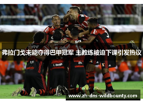 弗拉门戈未能夺得巴甲冠军 主教练被迫下课引发热议