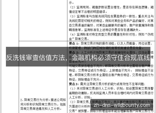 反洗钱审查估值方法,金融机构必须守住合规底线 反洗钱审查估值方法,金融机构必须守住合规底线